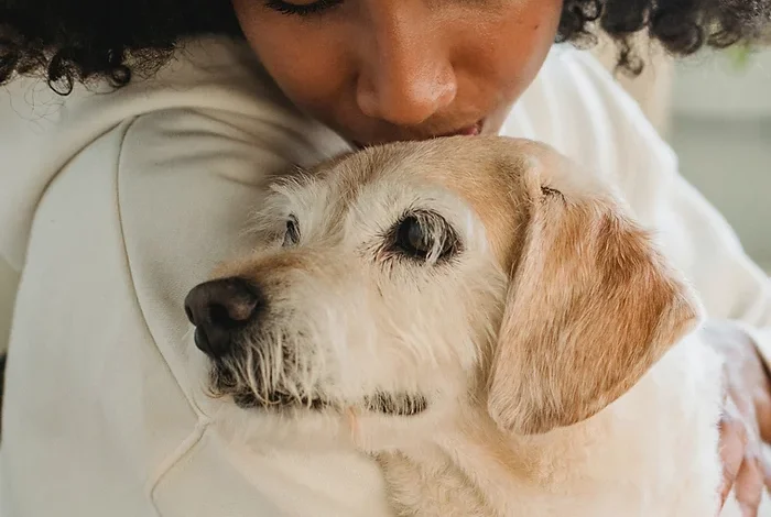 woman cuddling elderly dog